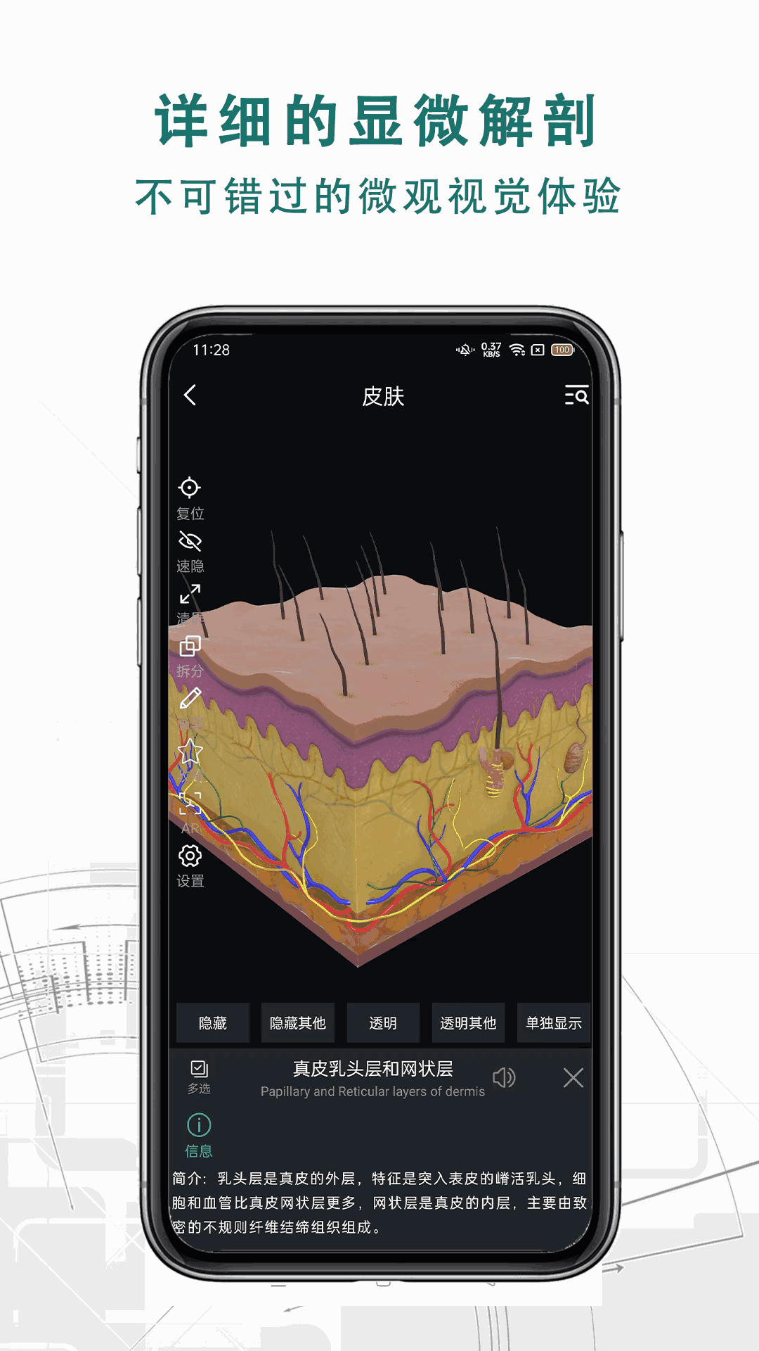 掌上3D解剖