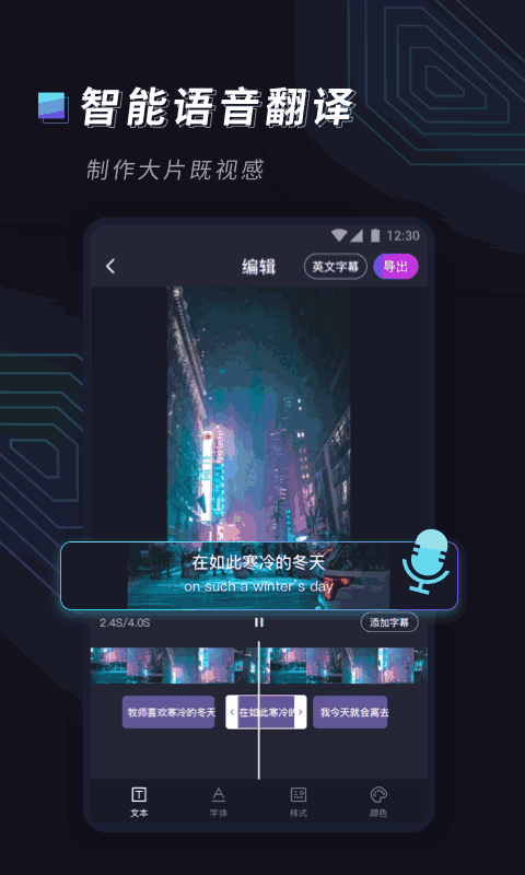 视频字幕大师