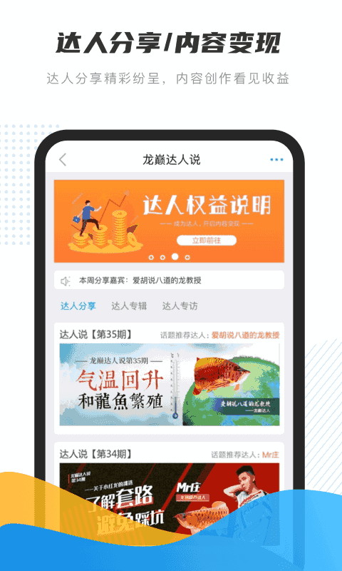 龙巅