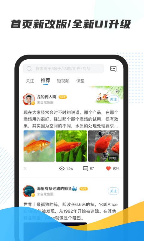 龙巅