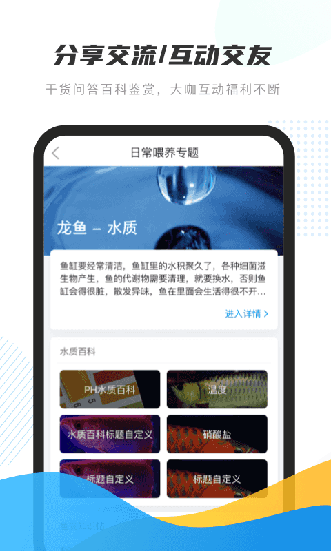 龙巅