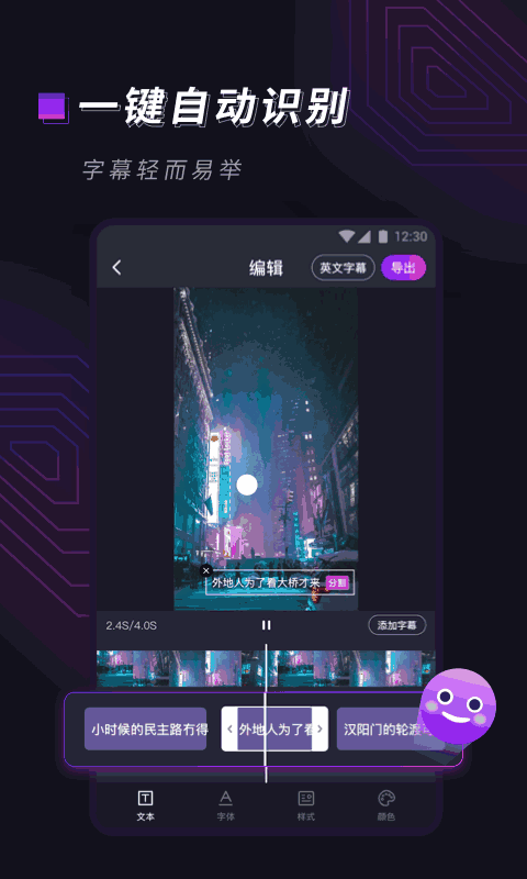 视频字幕大师